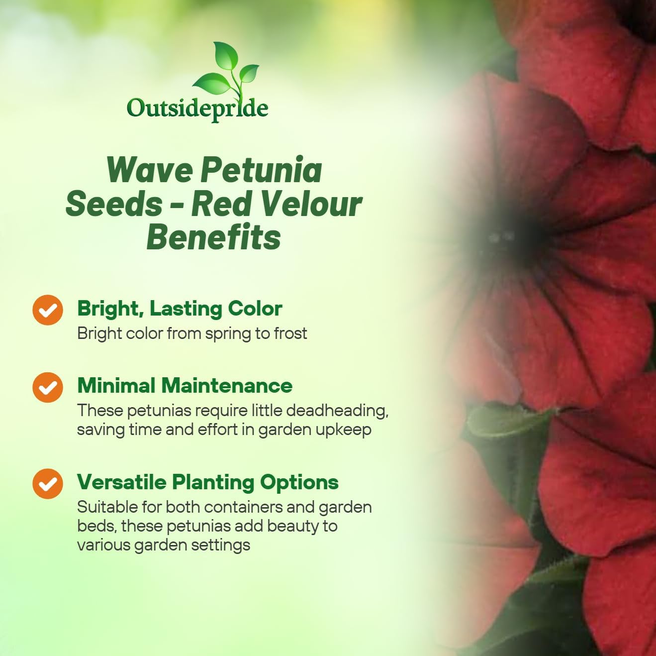 Tidal Wave Red Velour Petunia Flowers