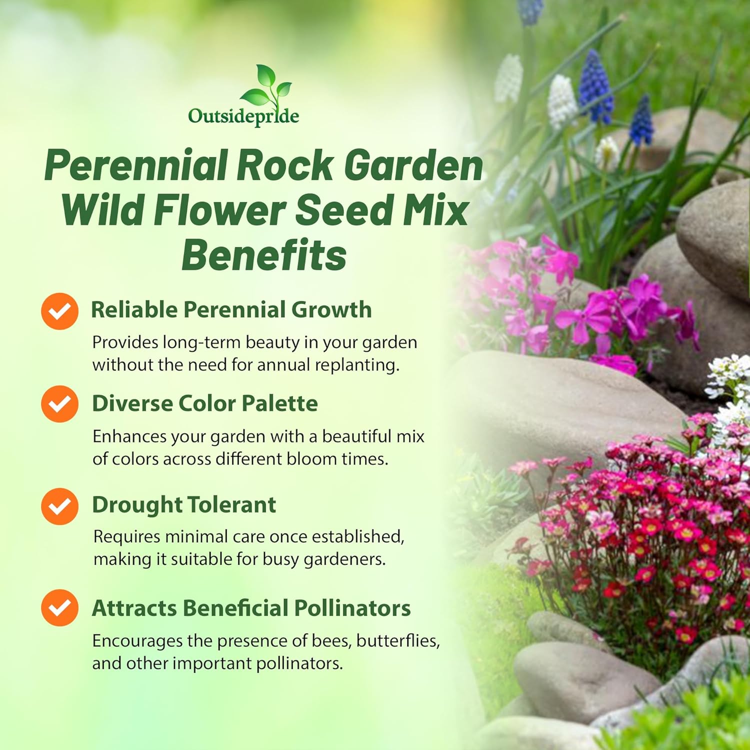 Rock Garden Perennial Garden Flowers