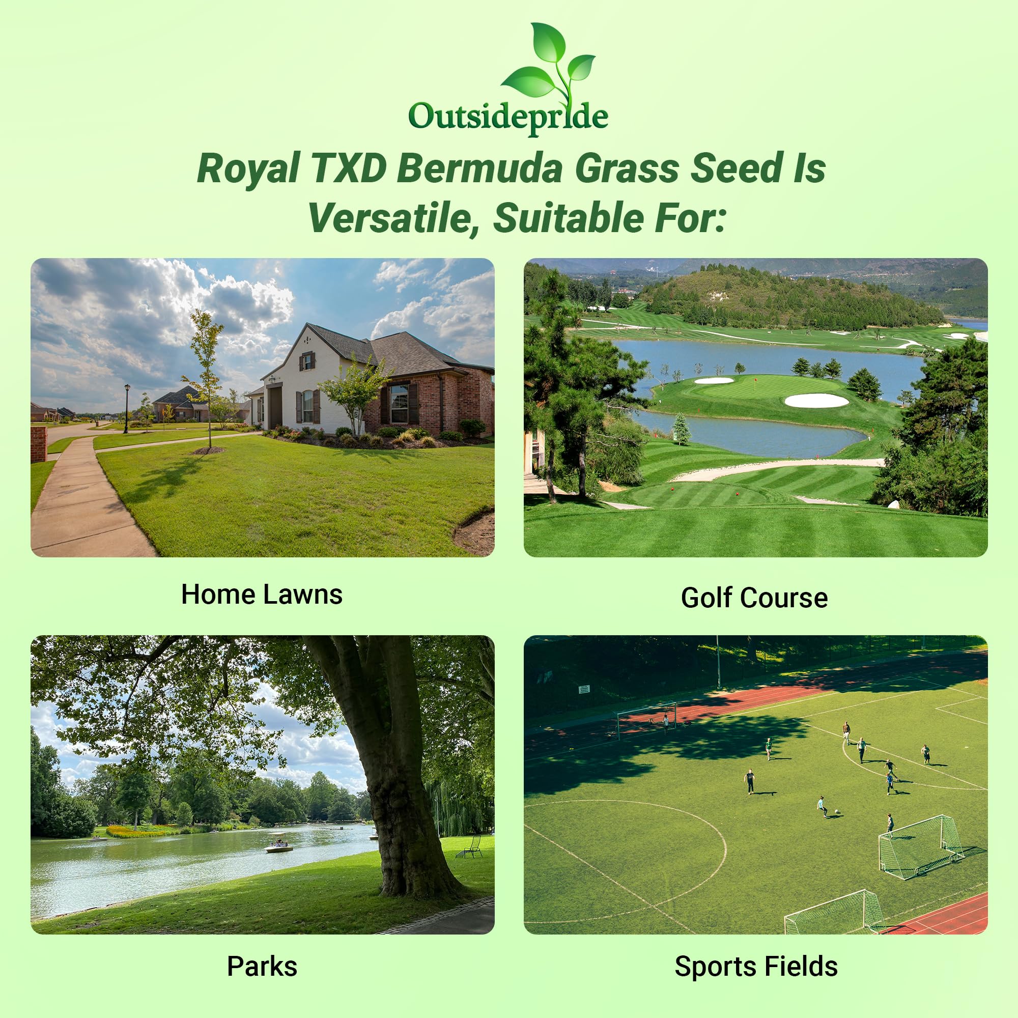 Royal TXD Planting Directions