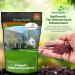 Hatrick Rye Lawn Grass Seed