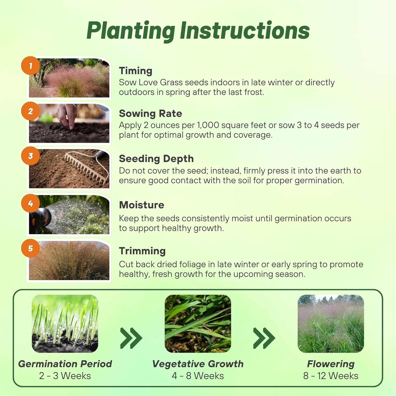 Love Grass Sand Planting Directions