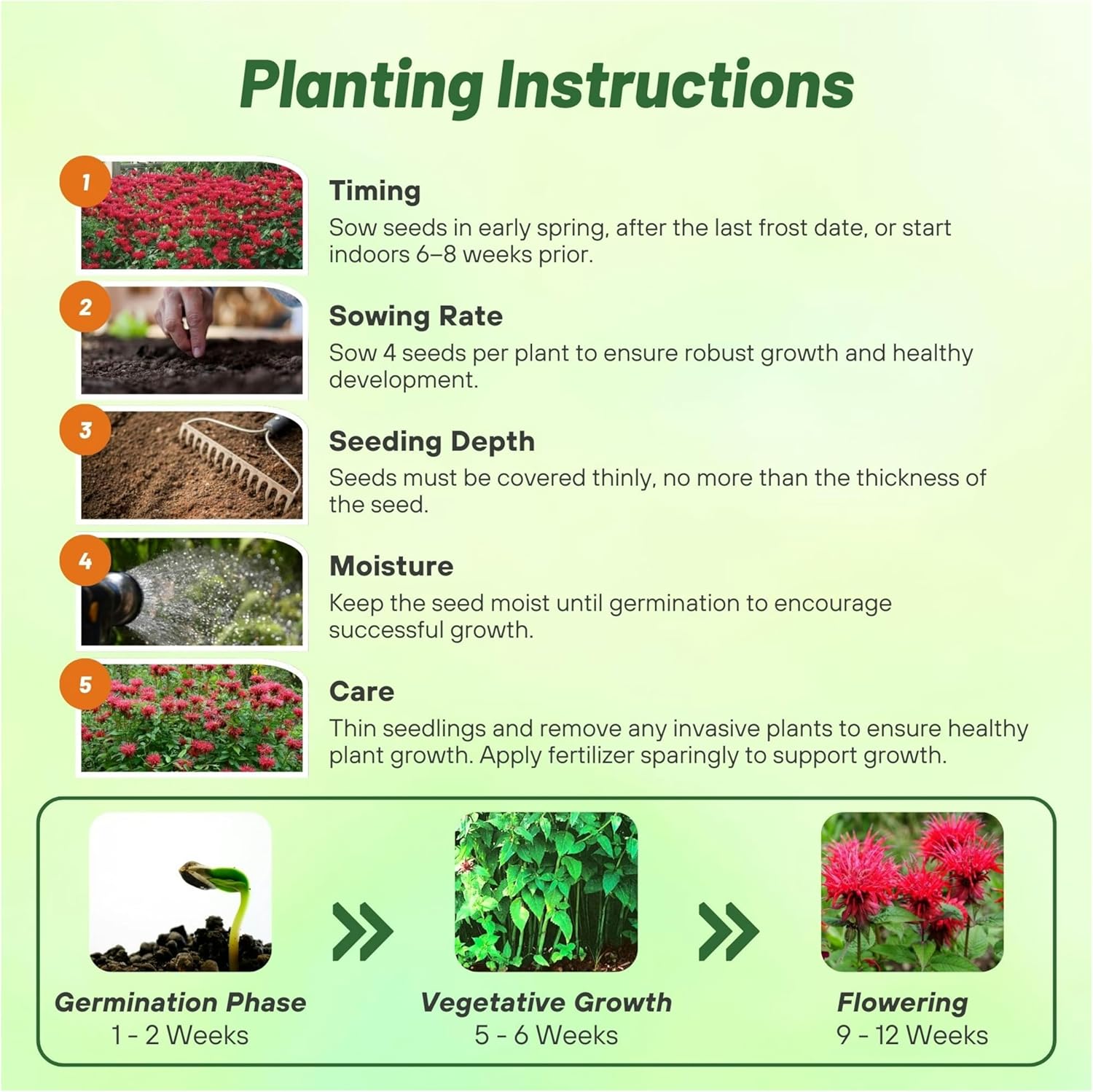 Monarda Red Shades Planting Directions