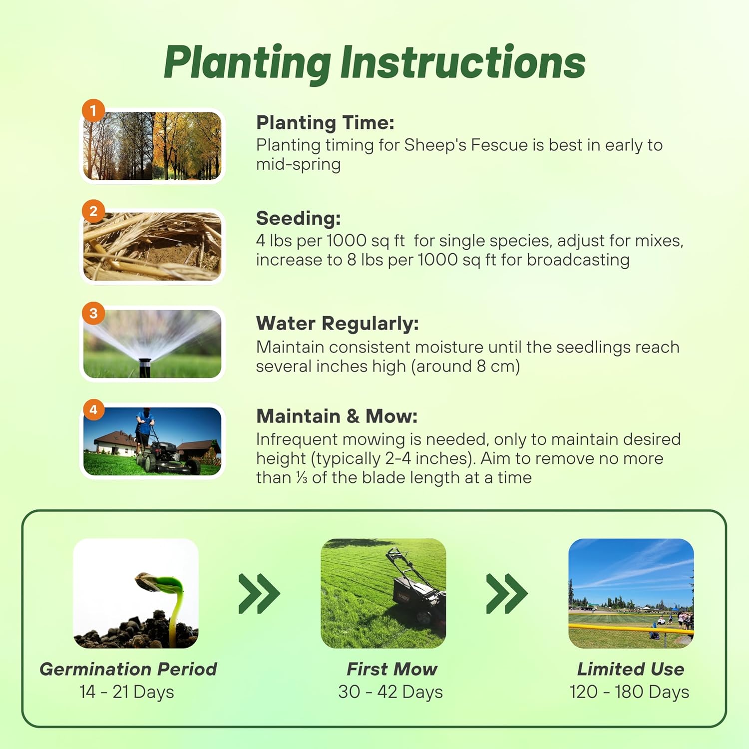 Sheep's Fescue Planting Directions