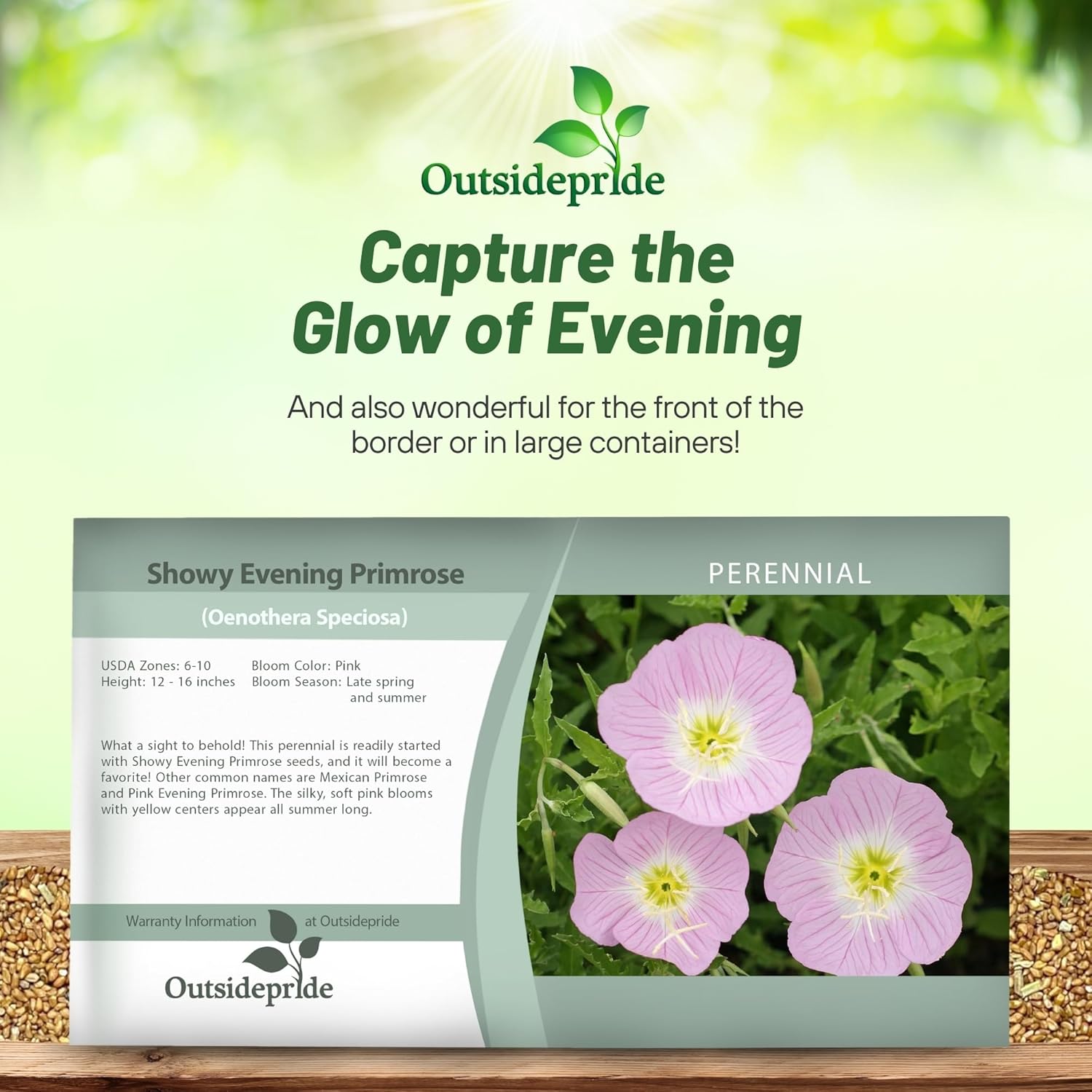 Perennial Showy Evening Primrose Seed Packet