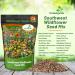 Southwest Wild Flower Seed Mix