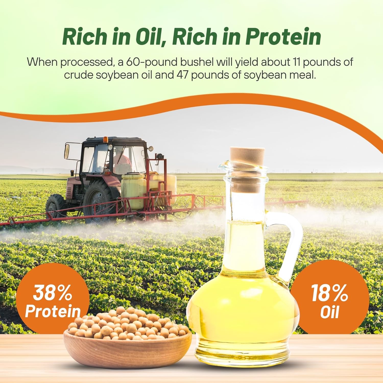 Soybean High Protein