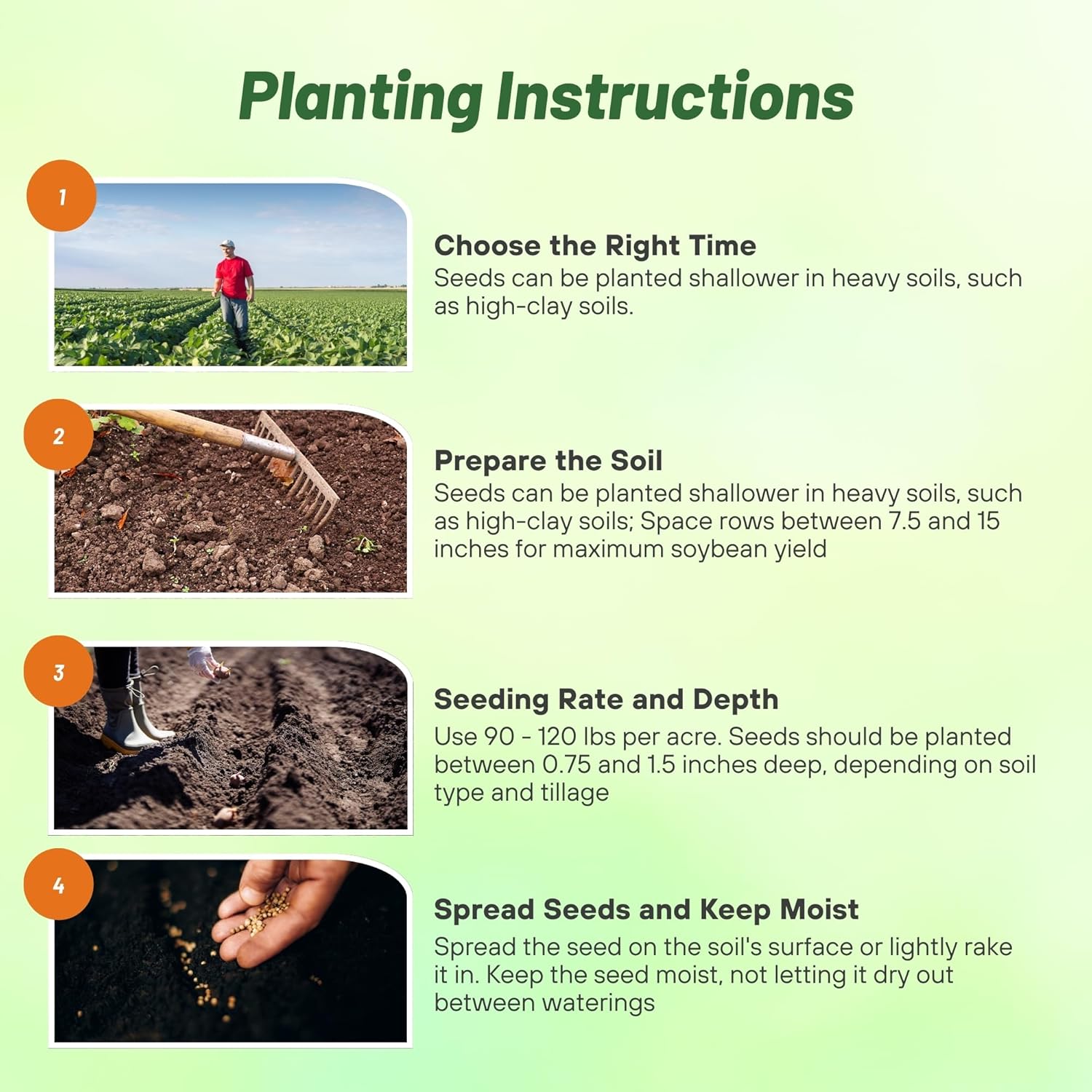 Soybean Planting Instructions