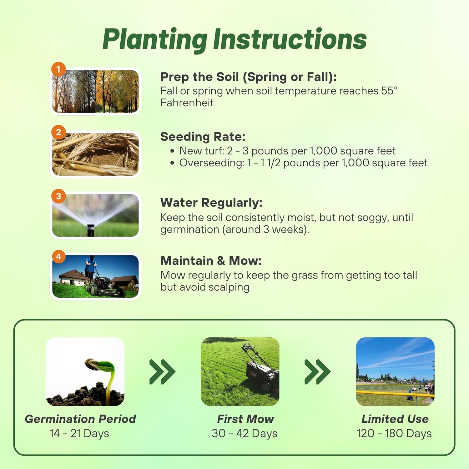 SPF Kentucky Bluegrass Planting Directions