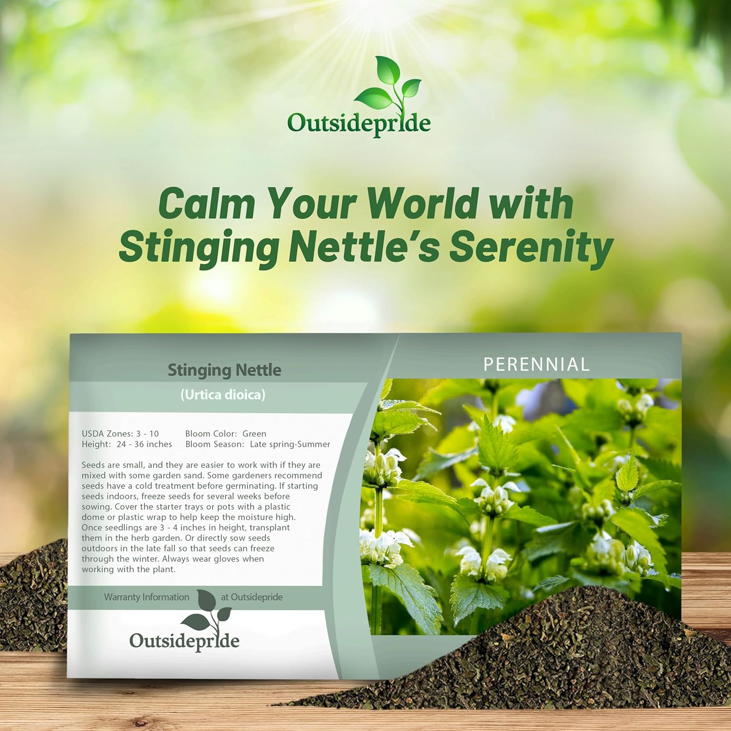 Stinging Nettle Seed Packet