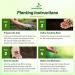 Strawberry Clover Planting Instructions