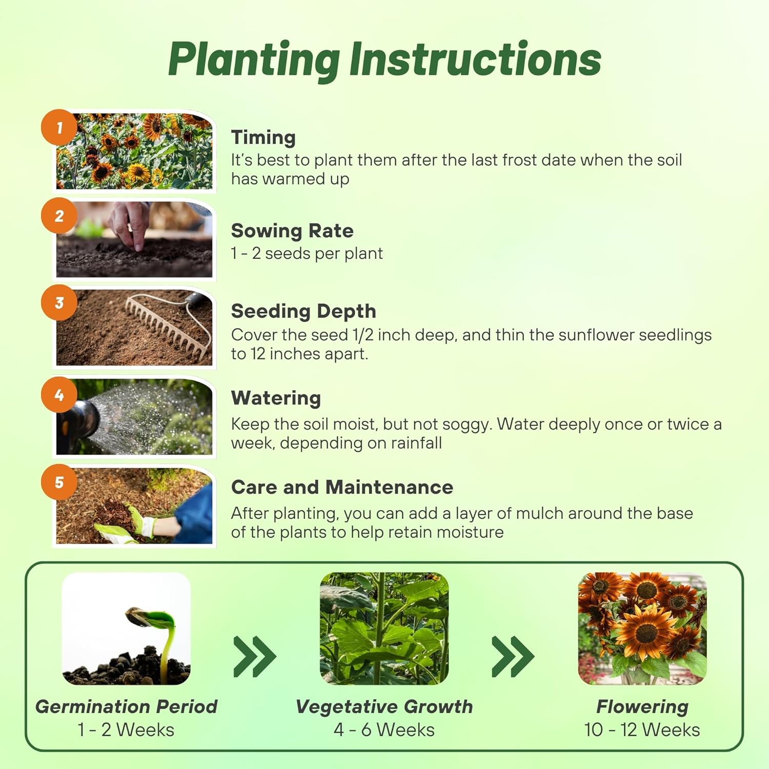 Earthwalker Sunflower Planting Directions