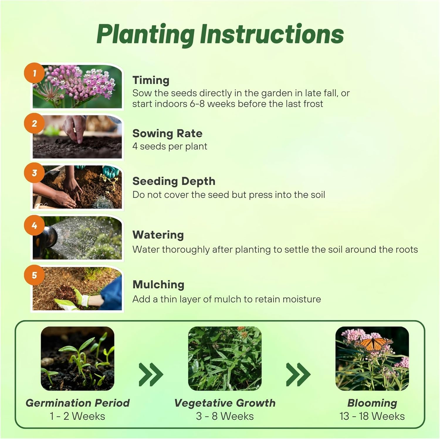 Asclepias Incarnata Milkweed Planting Directions