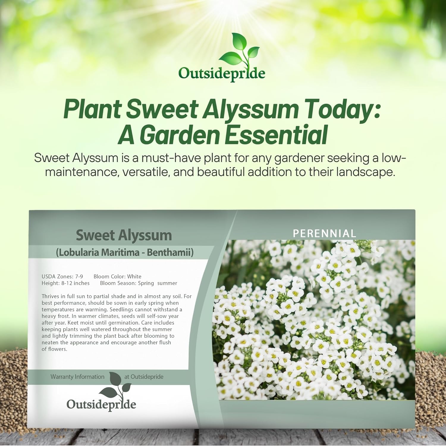 Sweet Alyssum Wildflower Seed Packet