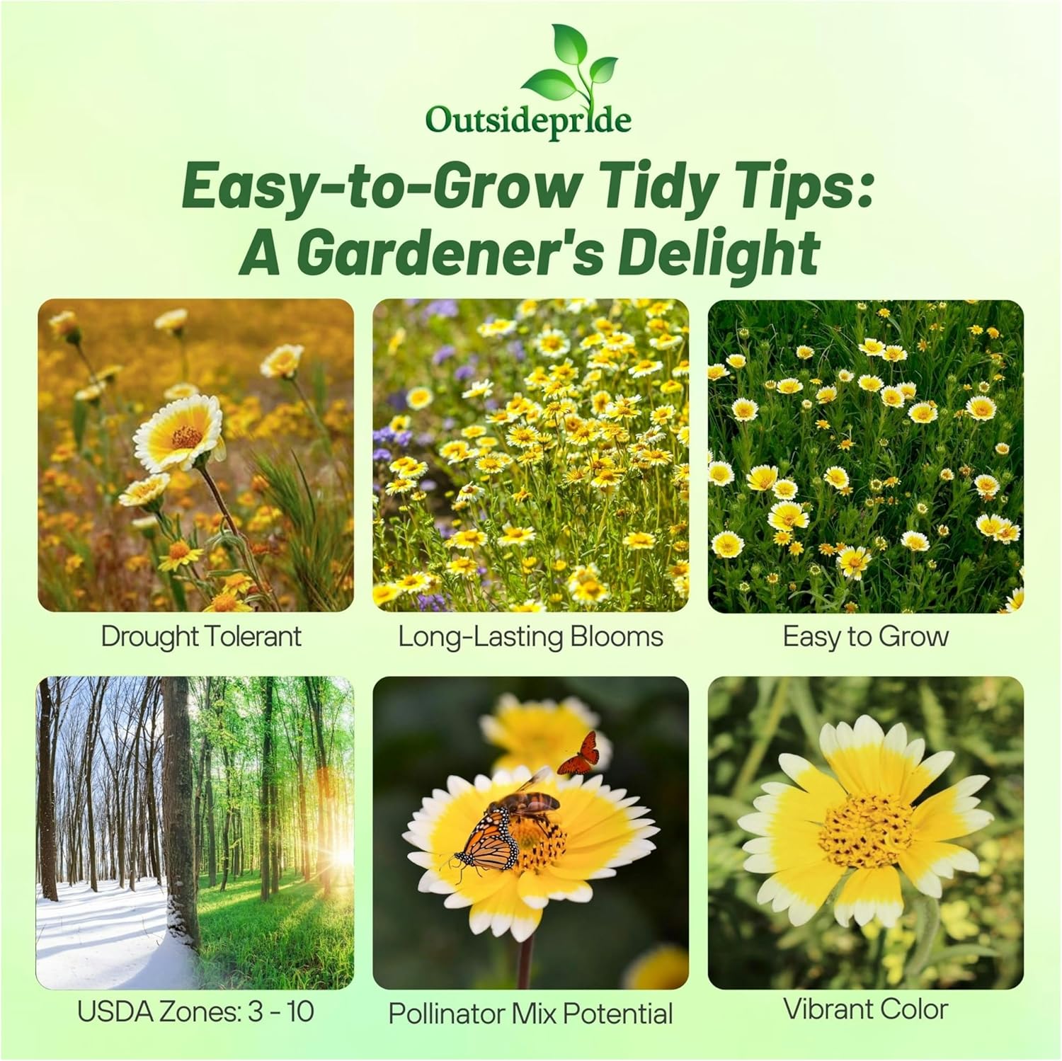 Tidy Tips Planting Directions