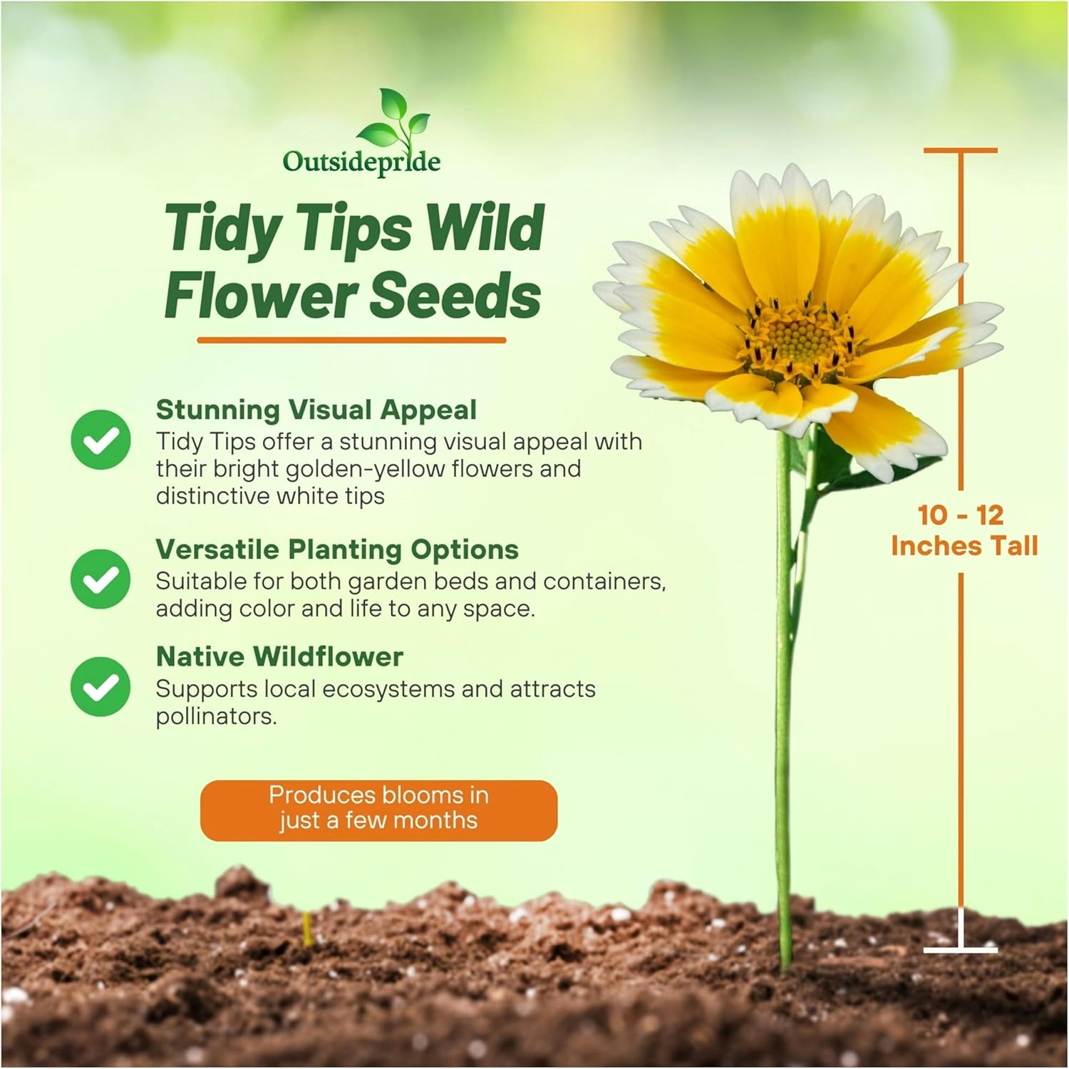 Tidy Tips Flower Seeds