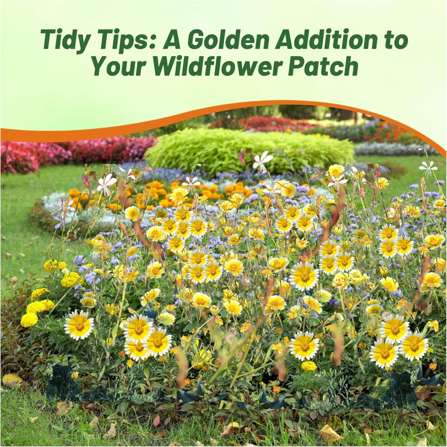 Tidy Tips Wildflower Garden