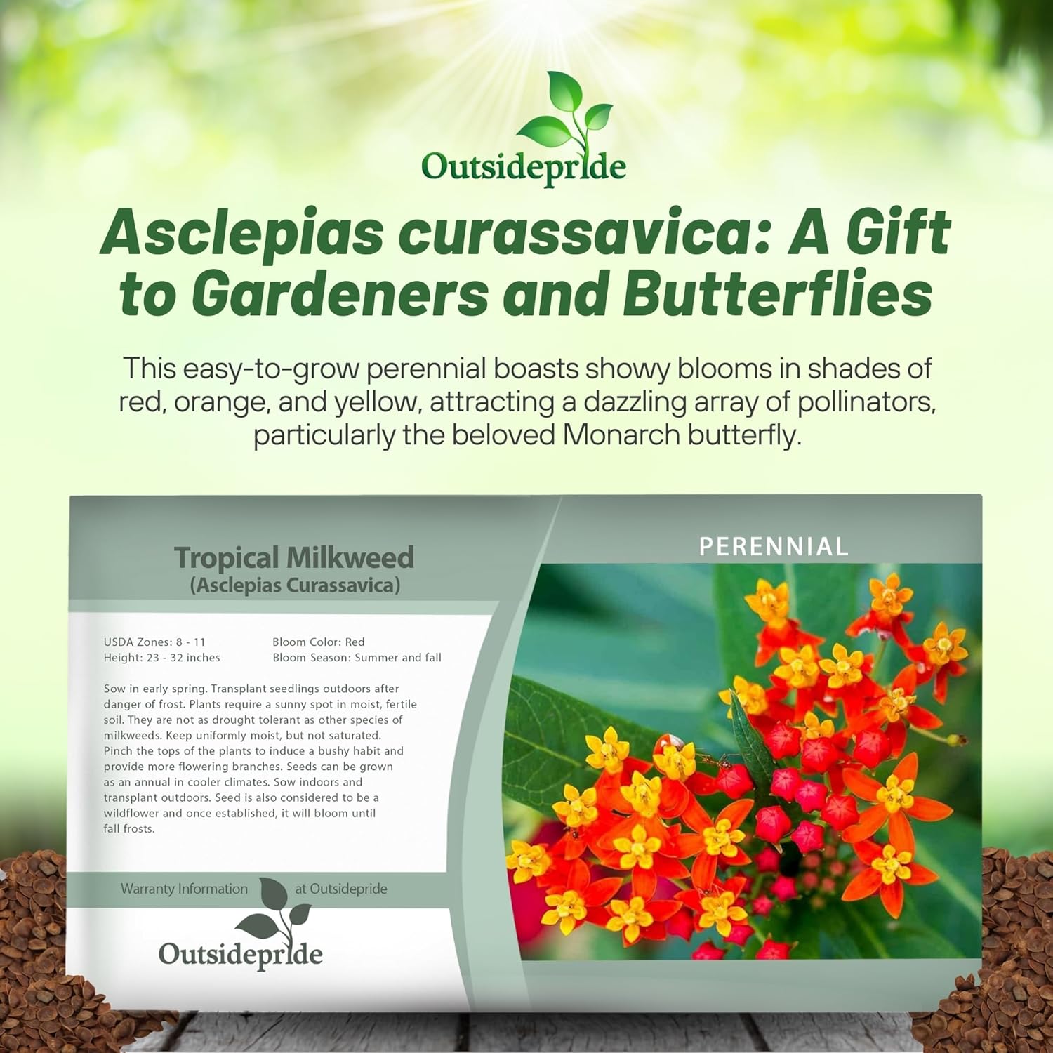 Asclepias Curassavica Flower Seed Packet