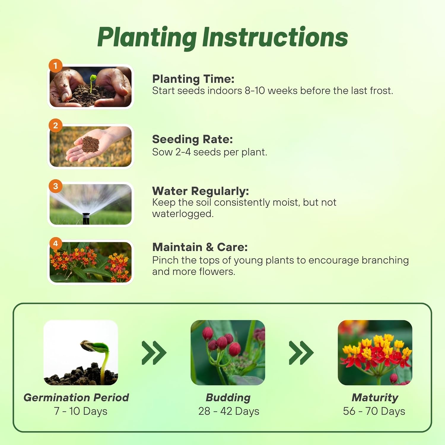 Sunset Flower Planting Directions