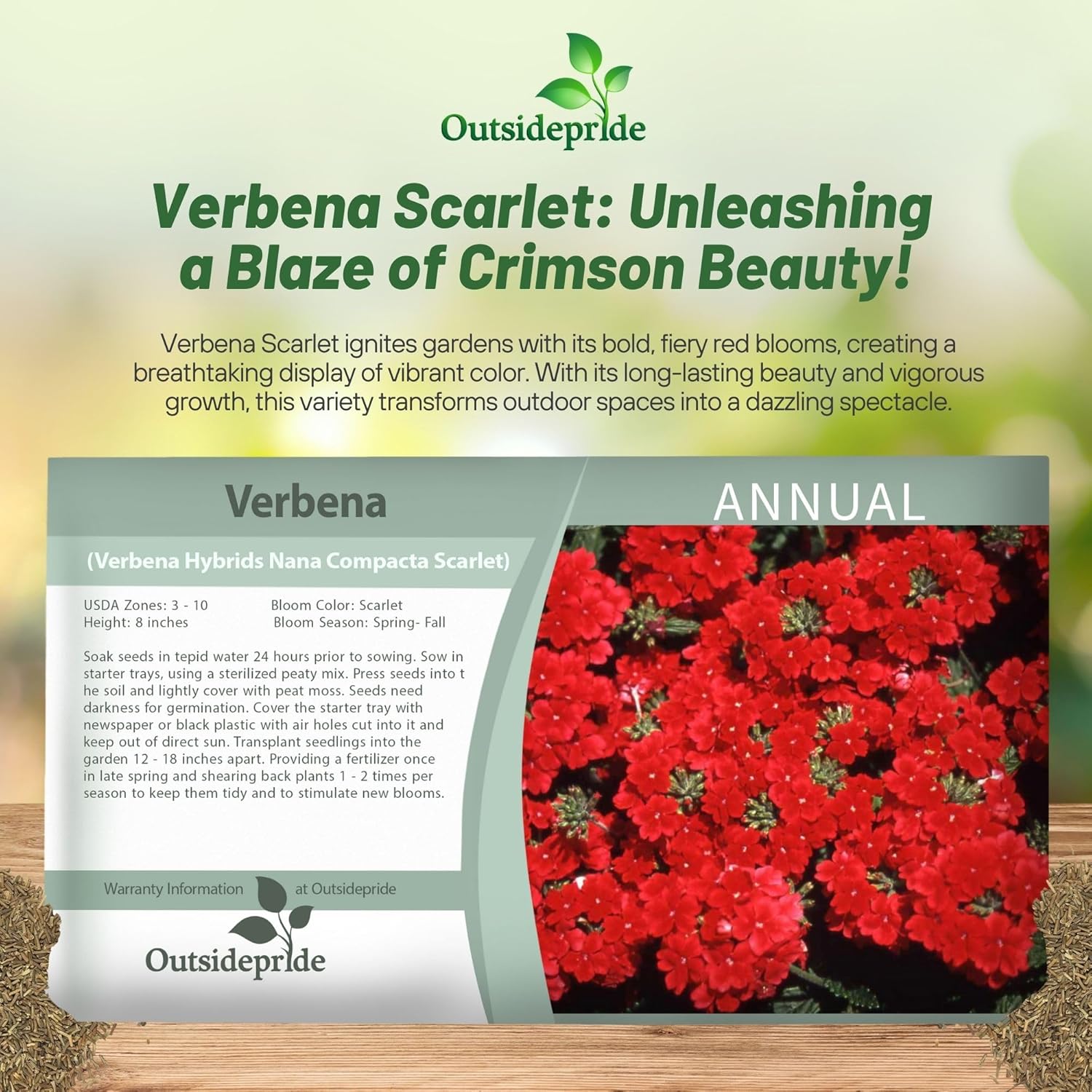 Verbena Scarlet Groundcoverm Seed Packet