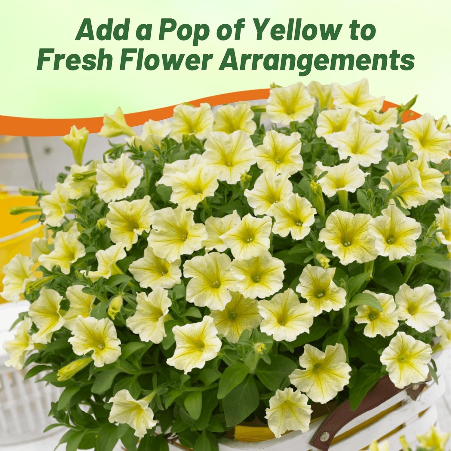 Easy Wave Yellow Petunia Flowers