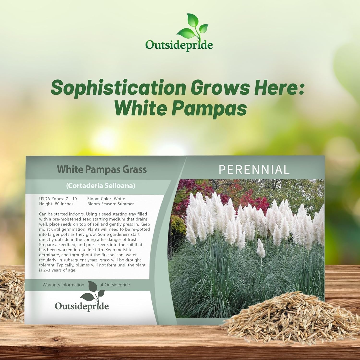 White Pampas Seed Packet