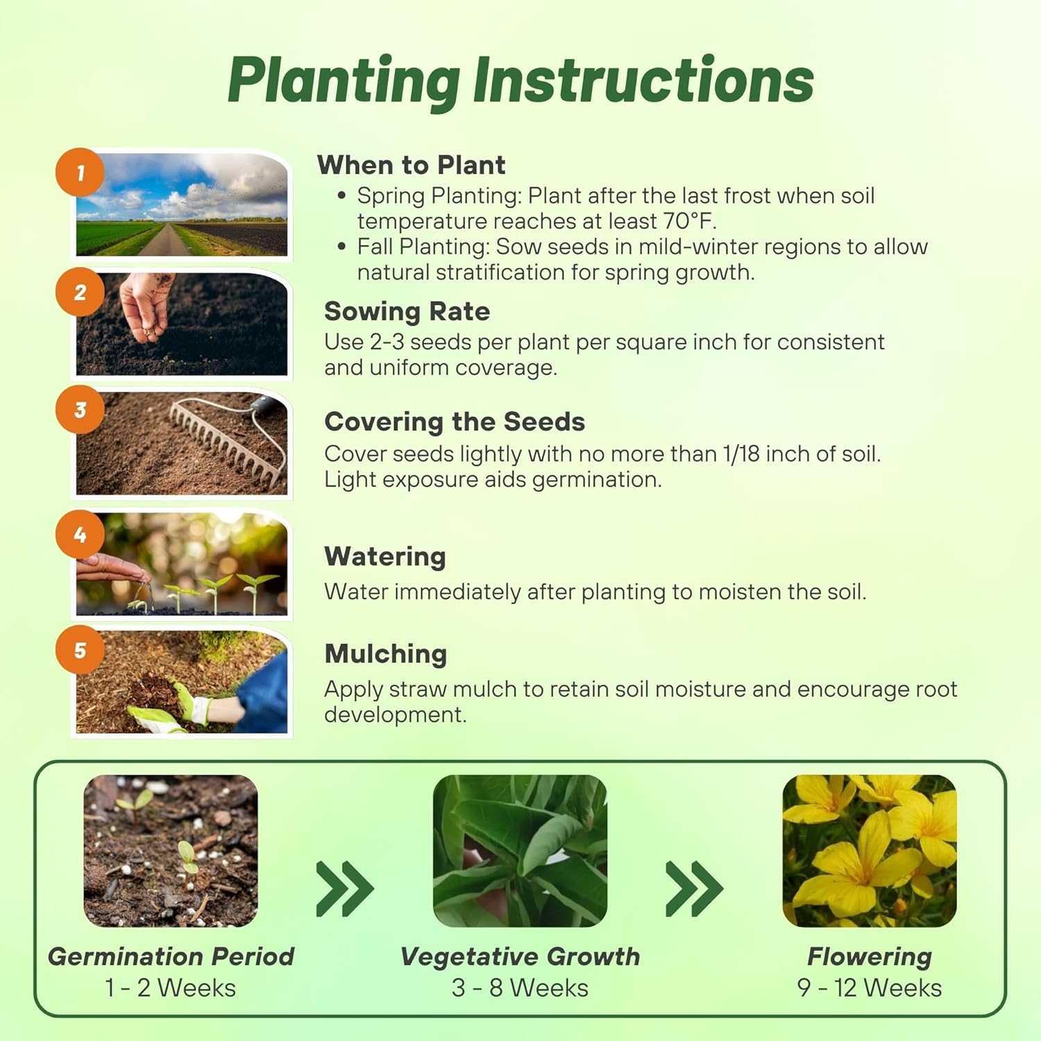 Yellow Flax Planting Directions