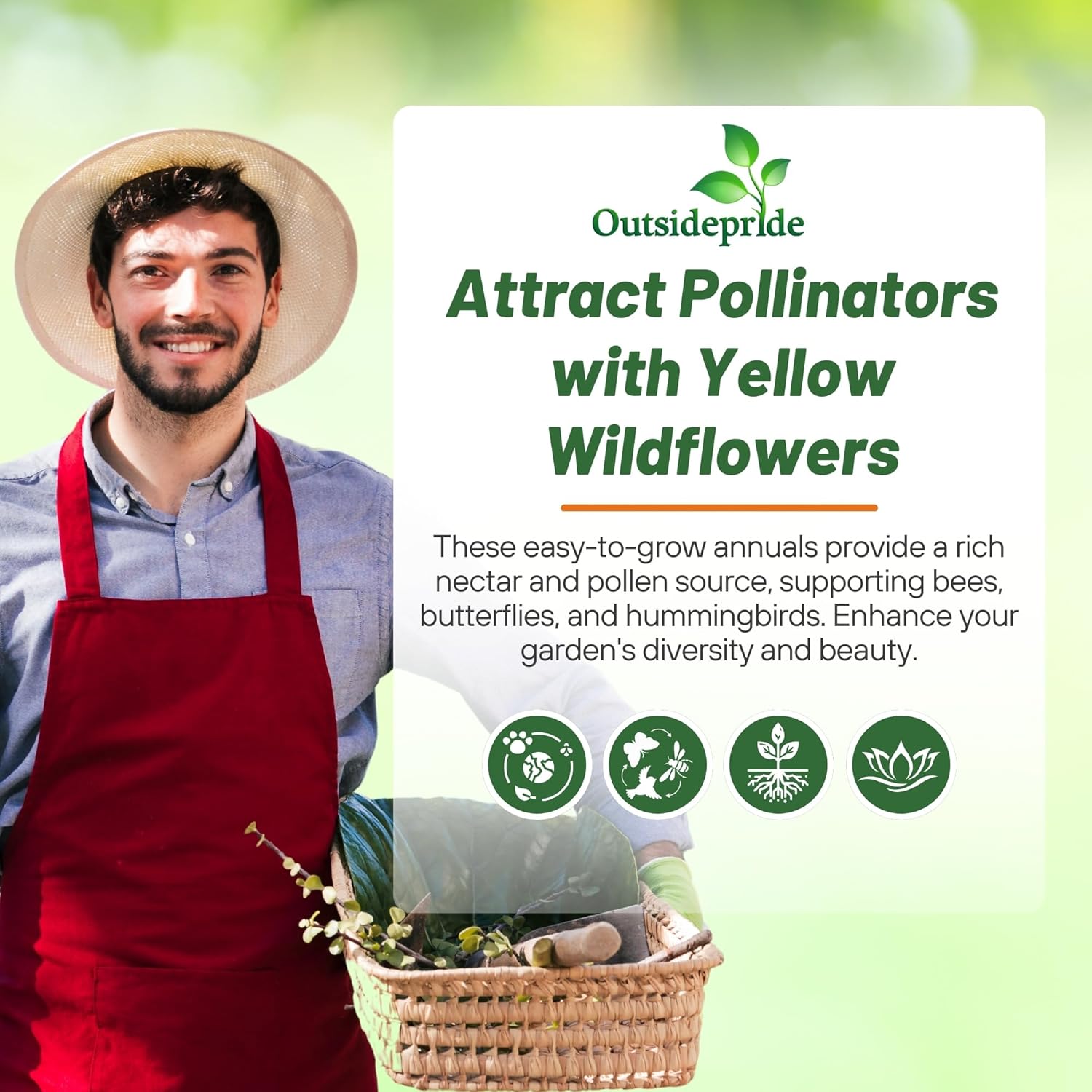 Yellow Wildflower Attractant