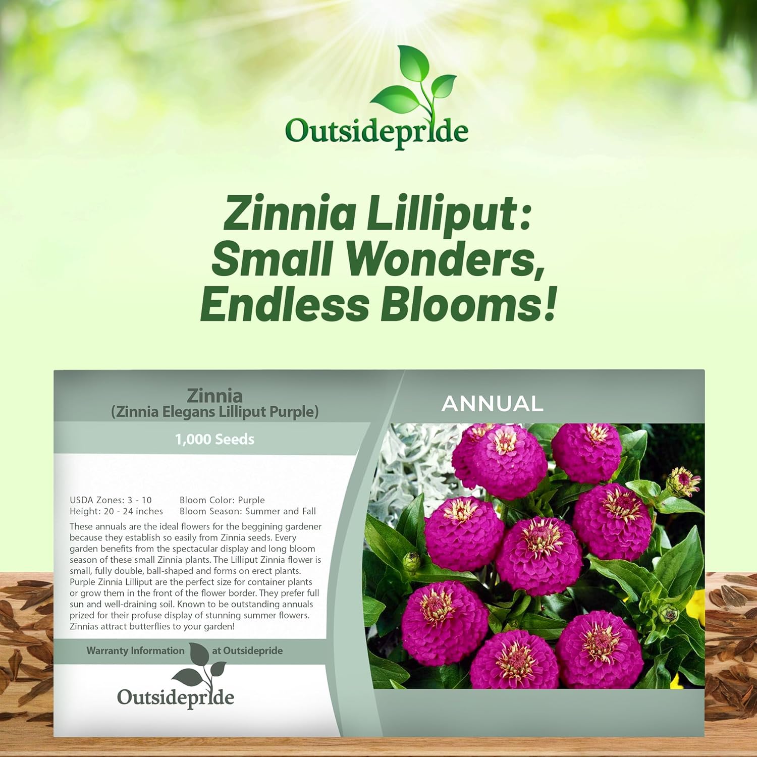 Zinnia Elegans Lilliput Purple Seed Packets