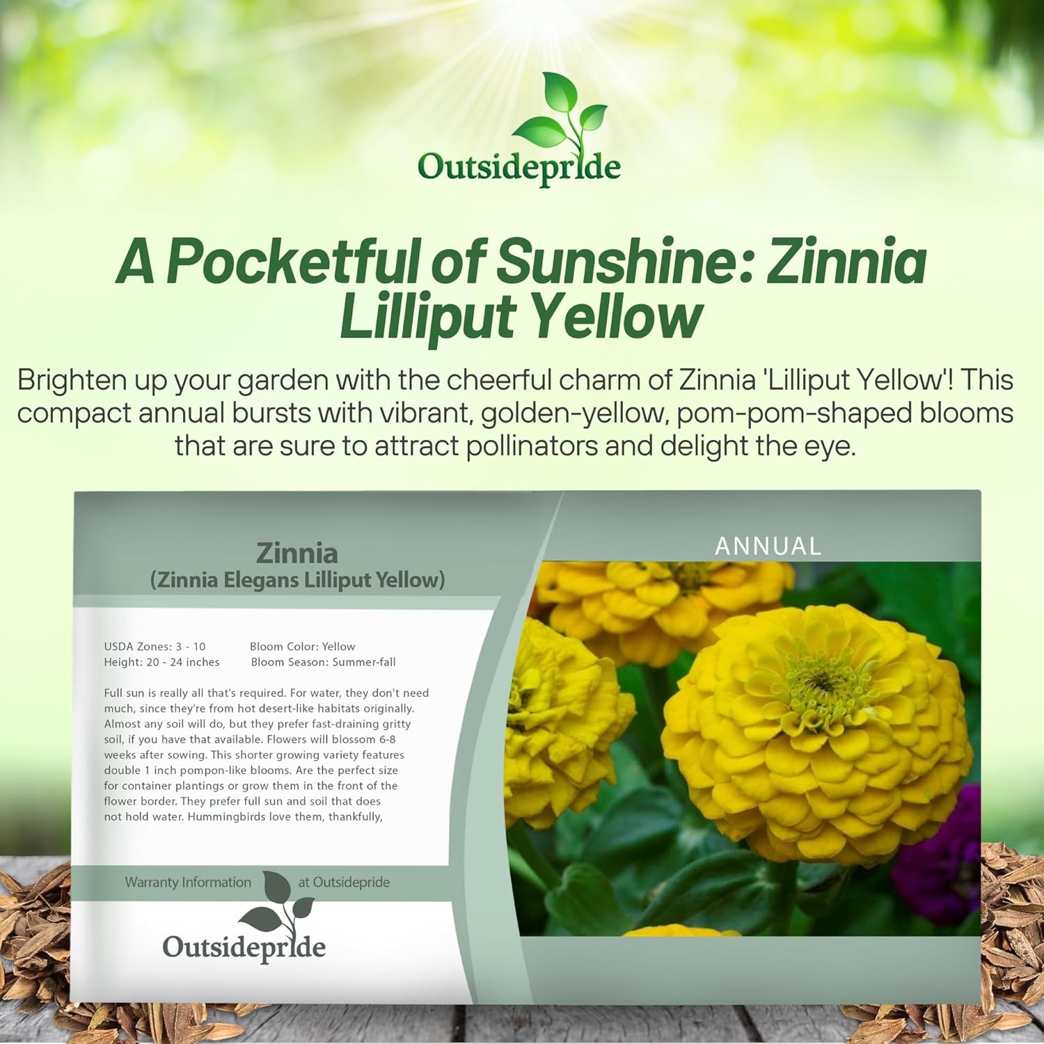 Zinnia Lilliput Yellow Seed Packet