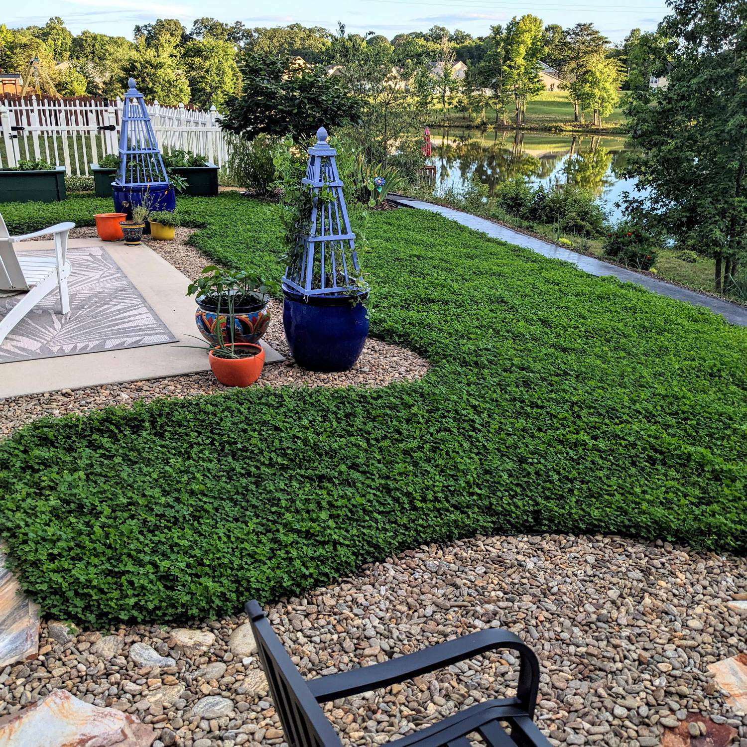 Microclover Landscaping