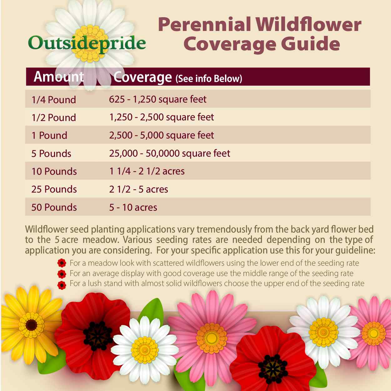 All Perennial Wildflower Seed Mix