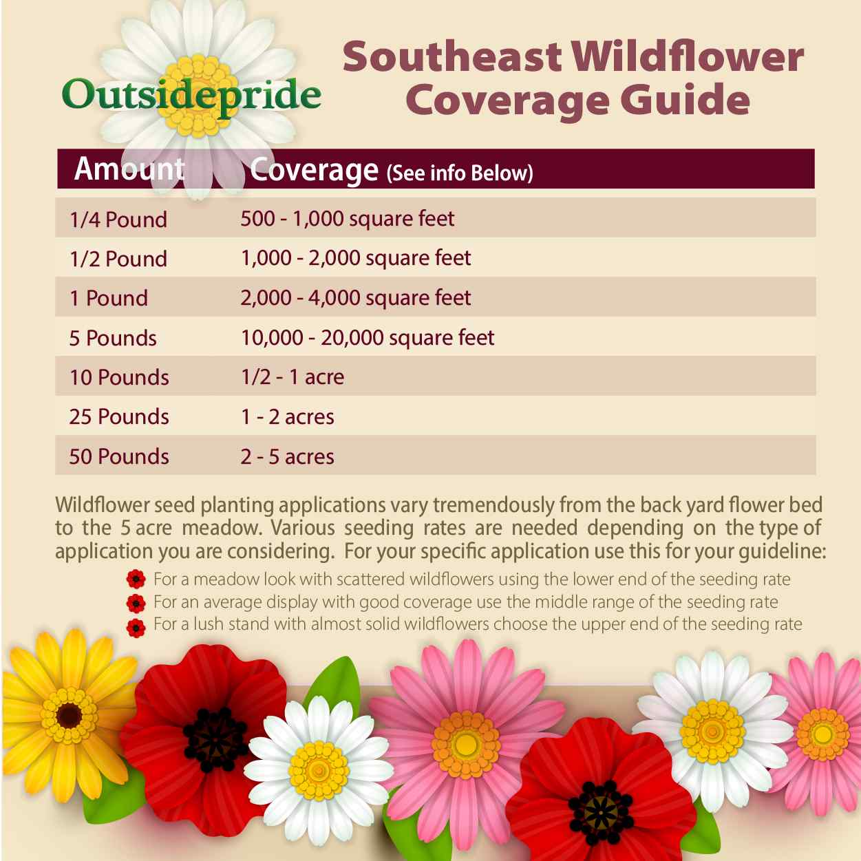 Outsidepride Southeast Wildflower Seed Mix - 1 lb